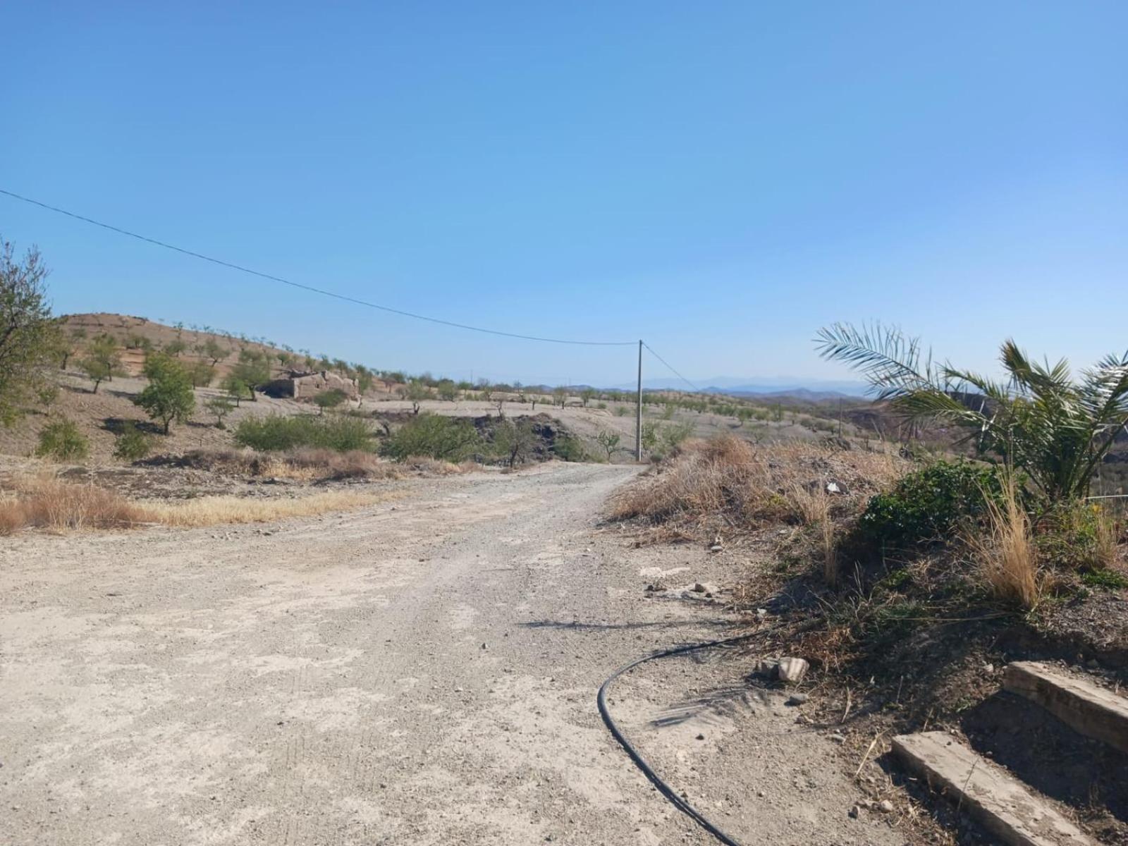 Casa Rural Los Cerezos Albox Dış mekan fotoğraf