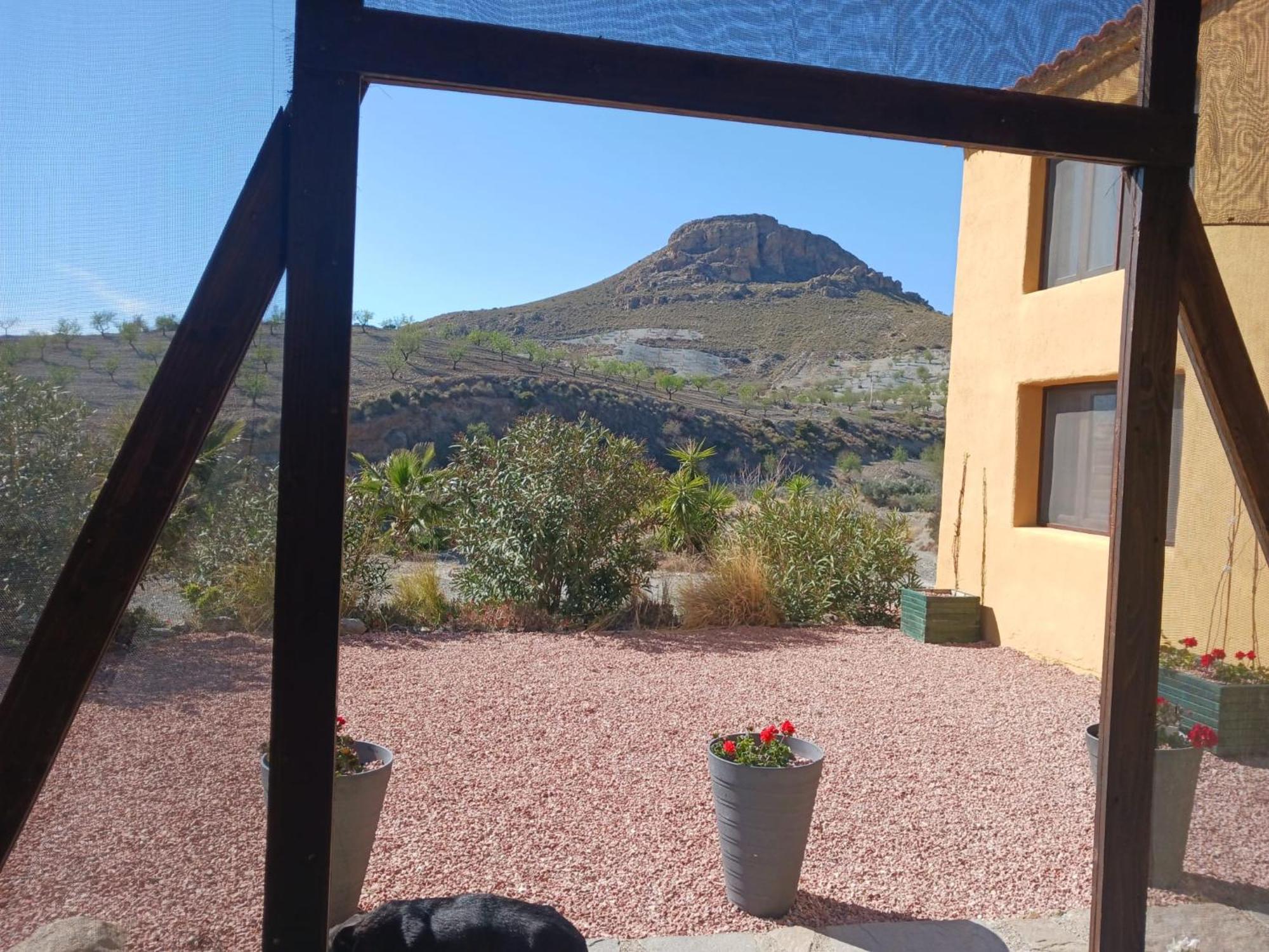 Casa Rural Los Cerezos Albox Dış mekan fotoğraf